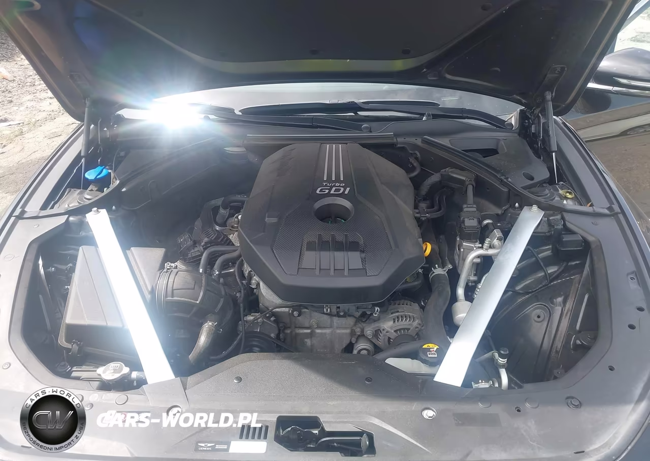 2019 Genesis G70 2.0T Advanced VIN:KMTG34LA1KU026640 - 10