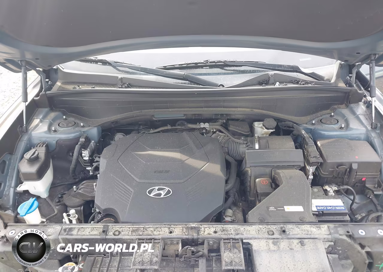 2020 Hyundai Palisade Se VIN:KM8R14HEXLU036122 - 10