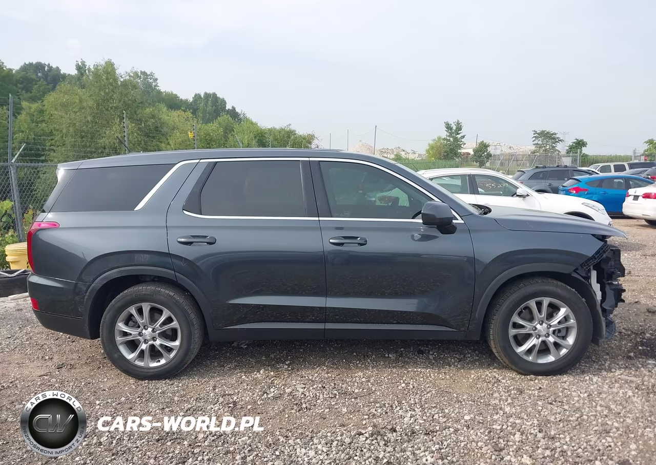 2020 Hyundai Palisade Se VIN:KM8R14HEXLU036122 - 13