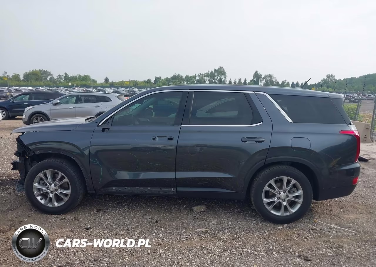 2020 Hyundai Palisade Se VIN:KM8R14HEXLU036122 - 14