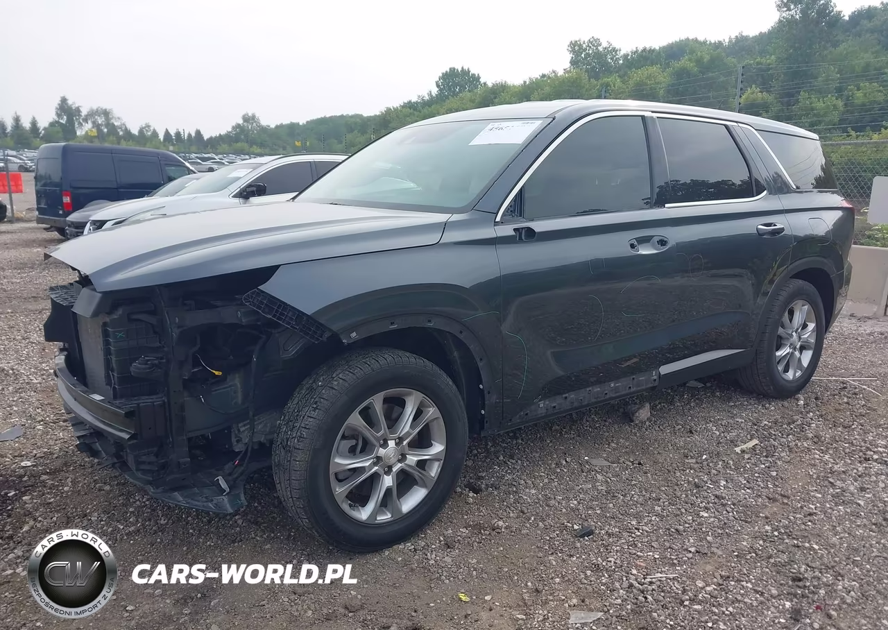 2020 Hyundai Palisade Se VIN:KM8R14HEXLU036122 - 2