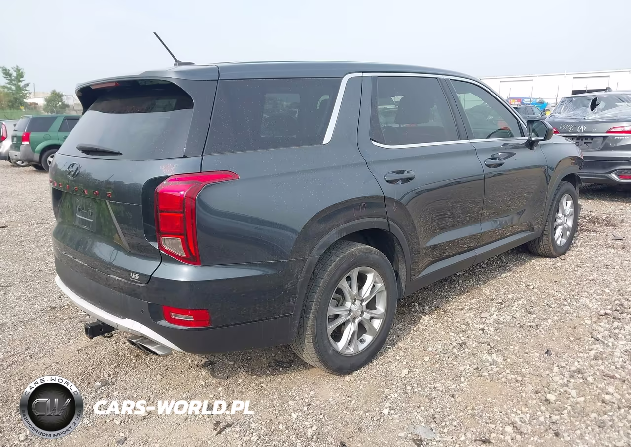 2020 Hyundai Palisade Se VIN:KM8R14HEXLU036122 - 4