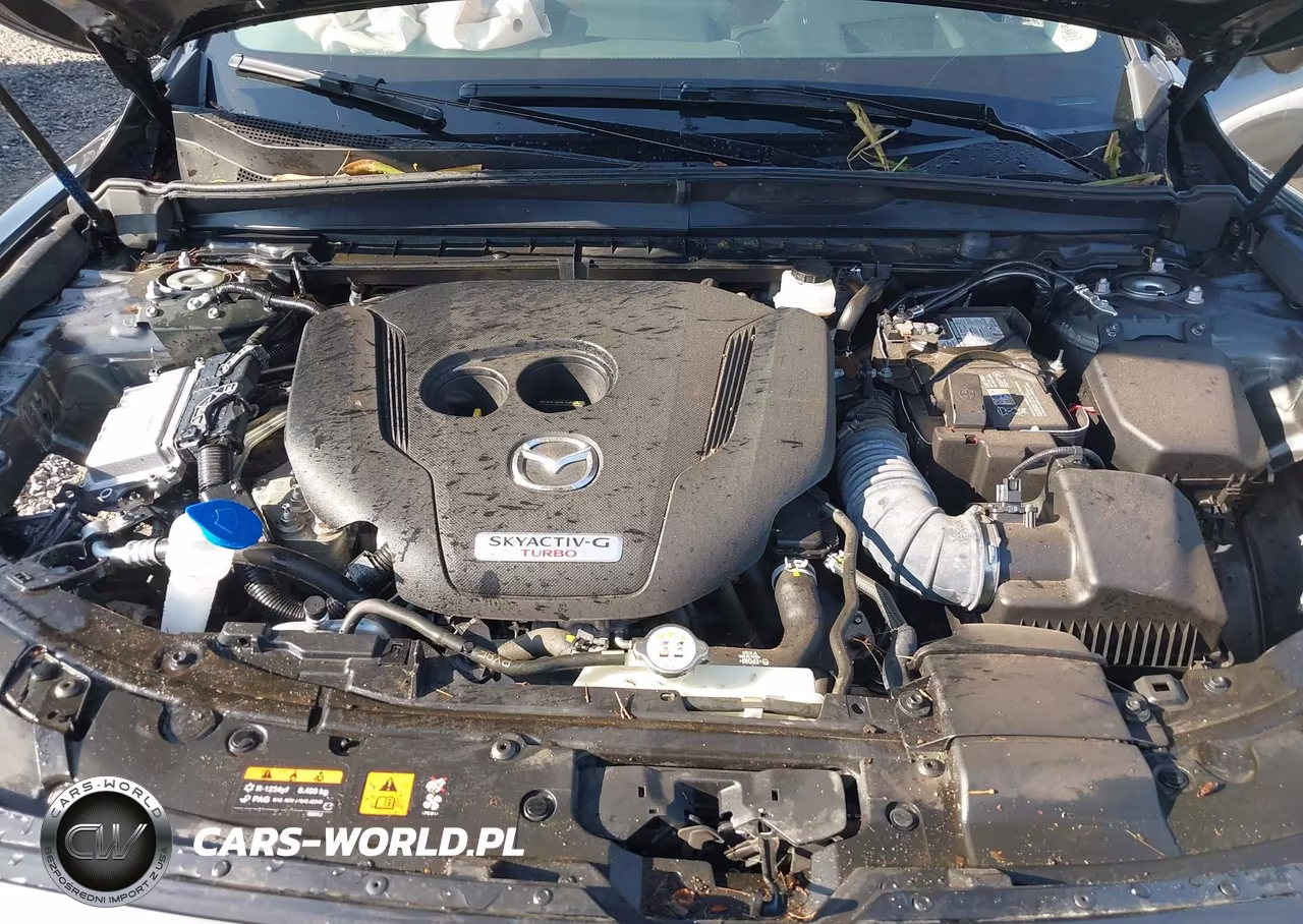 2024 Mazda Cx-50 2.5 Turbo Premium Plus VIN:7MMVABEY6RN230381 - 10