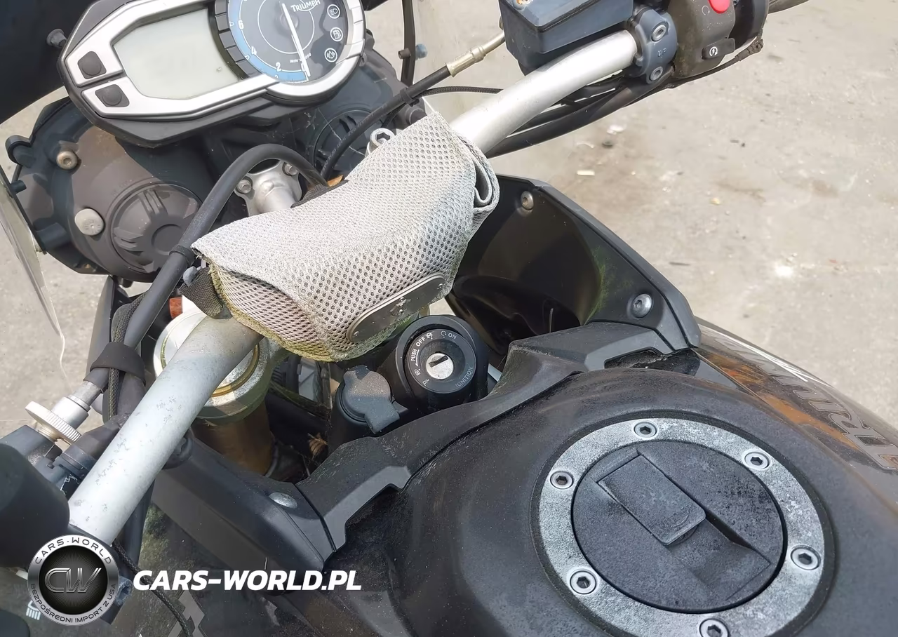 2011 Triumph Motorcycle Tiger 800-Abs VIN:SMTE05BF6BJ495386 - 10