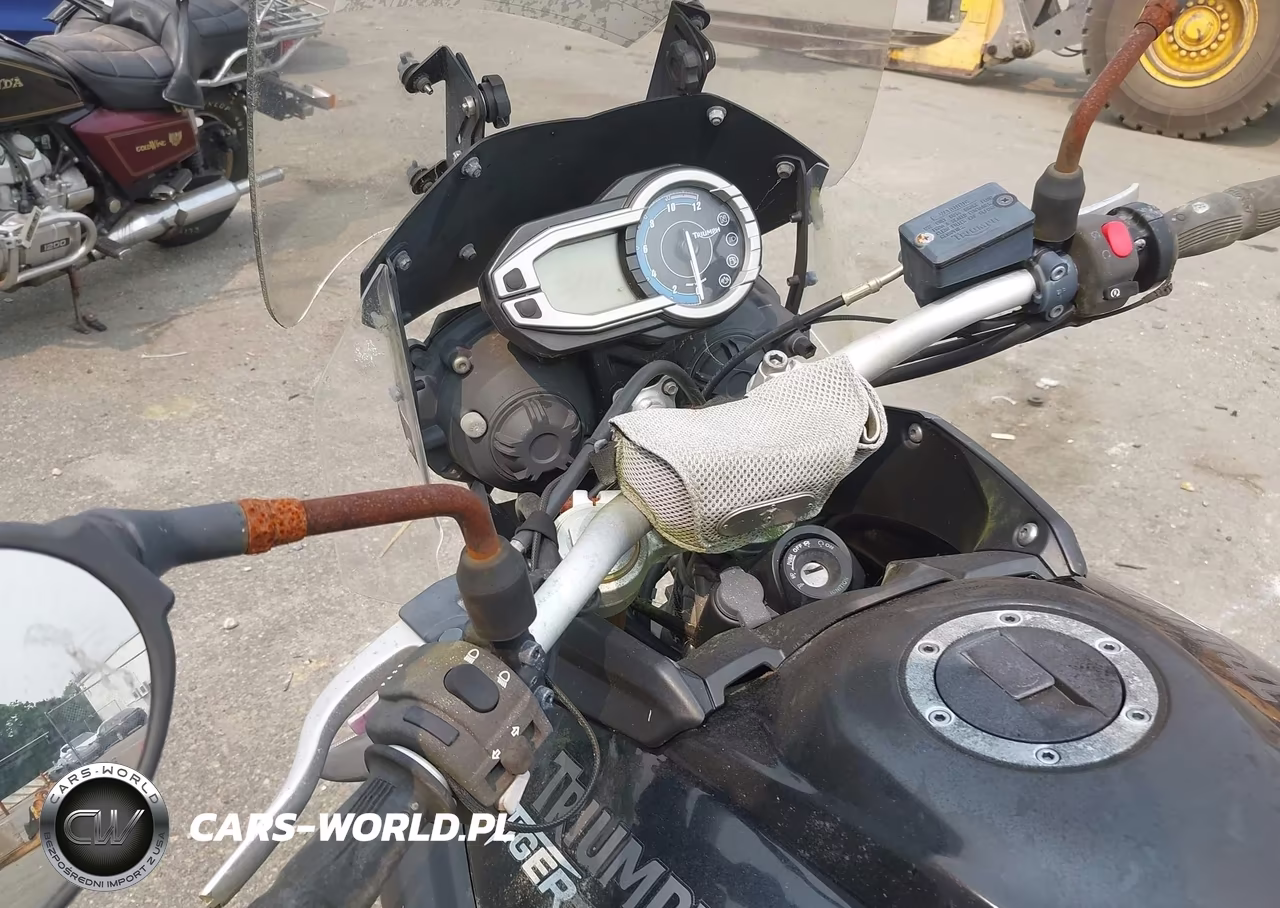 2011 Triumph Motorcycle Tiger 800-Abs VIN:SMTE05BF6BJ495386 - 14
