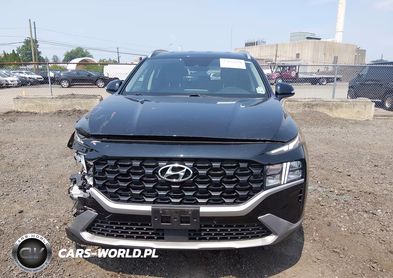 2023 Hyundai Santa Fe Sel VIN:5NMS2DAJ0PH517651 - 12