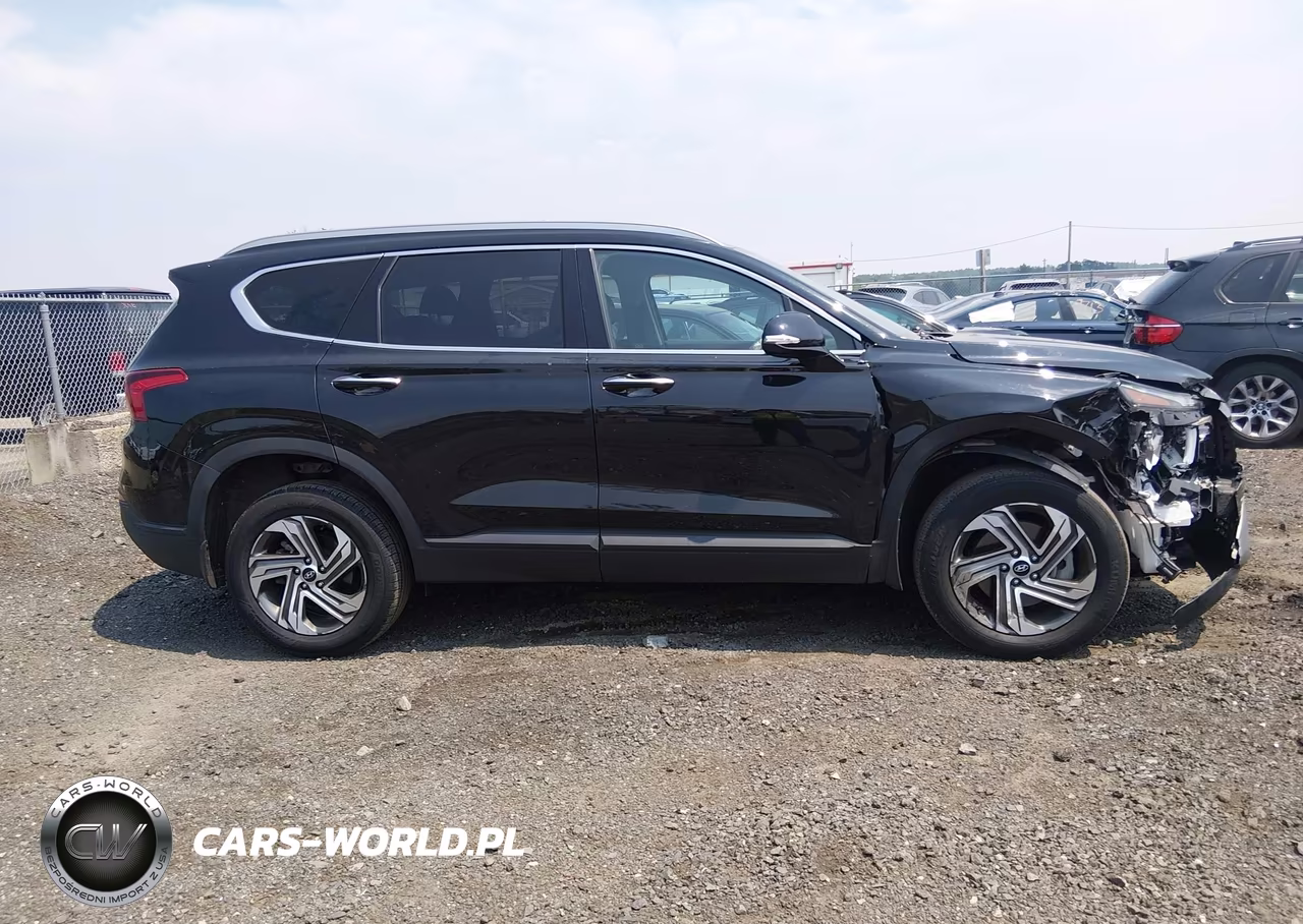 2023 Hyundai Santa Fe Sel VIN:5NMS2DAJ0PH517651 - 13
