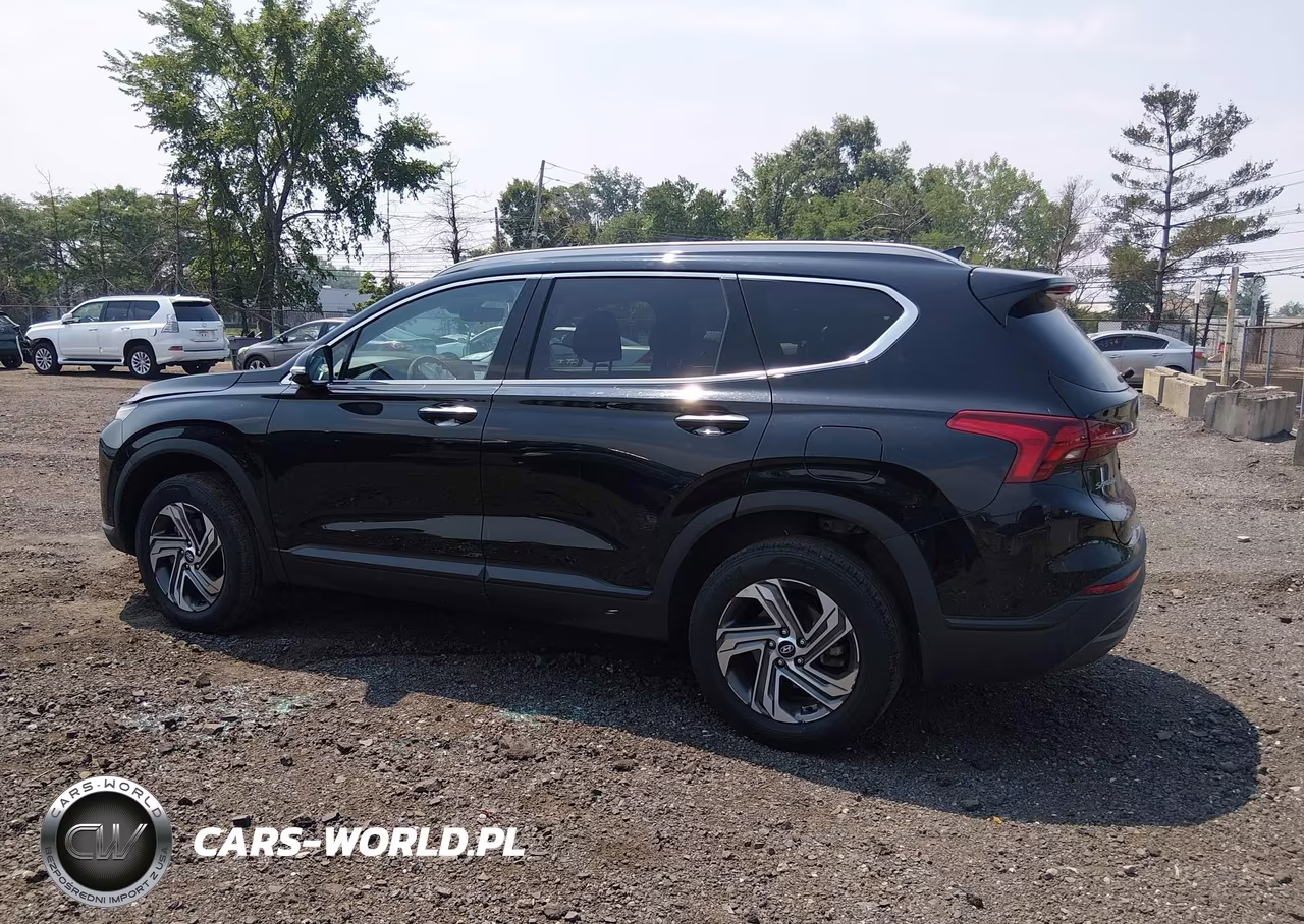 2023 Hyundai Santa Fe Sel VIN:5NMS2DAJ0PH517651 - 14