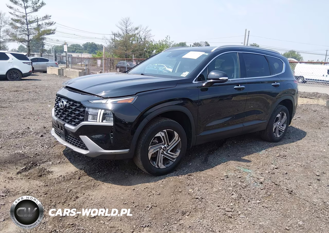 2023 Hyundai Santa Fe Sel VIN:5NMS2DAJ0PH517651 - 2