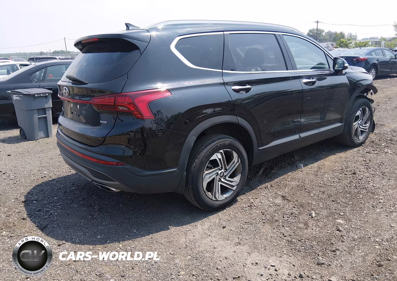2023 Hyundai Santa Fe Sel VIN:5NMS2DAJ0PH517651 - 4