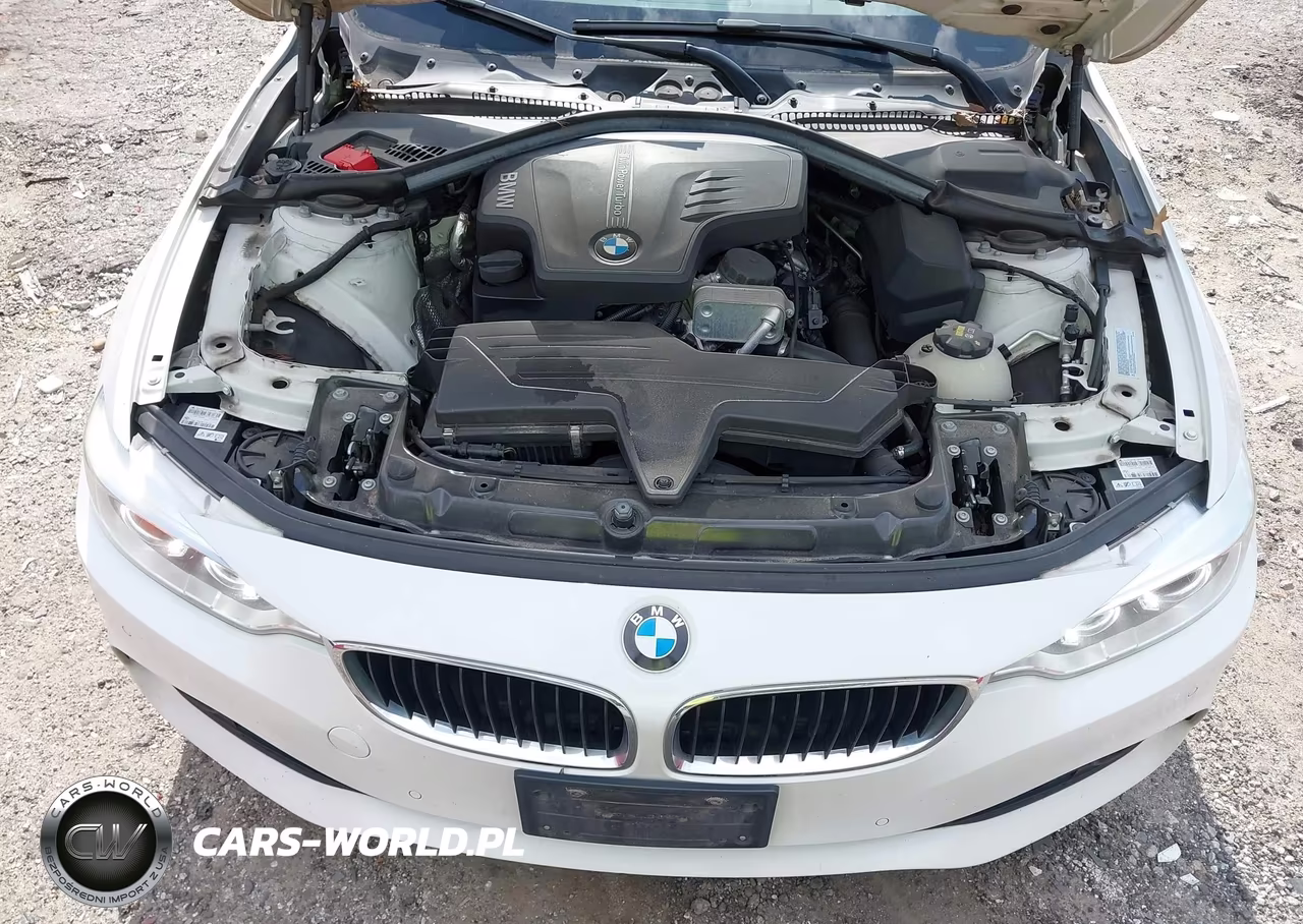 2015 BMW 428I VIN:WBA3N7C5XFK224899 - 10