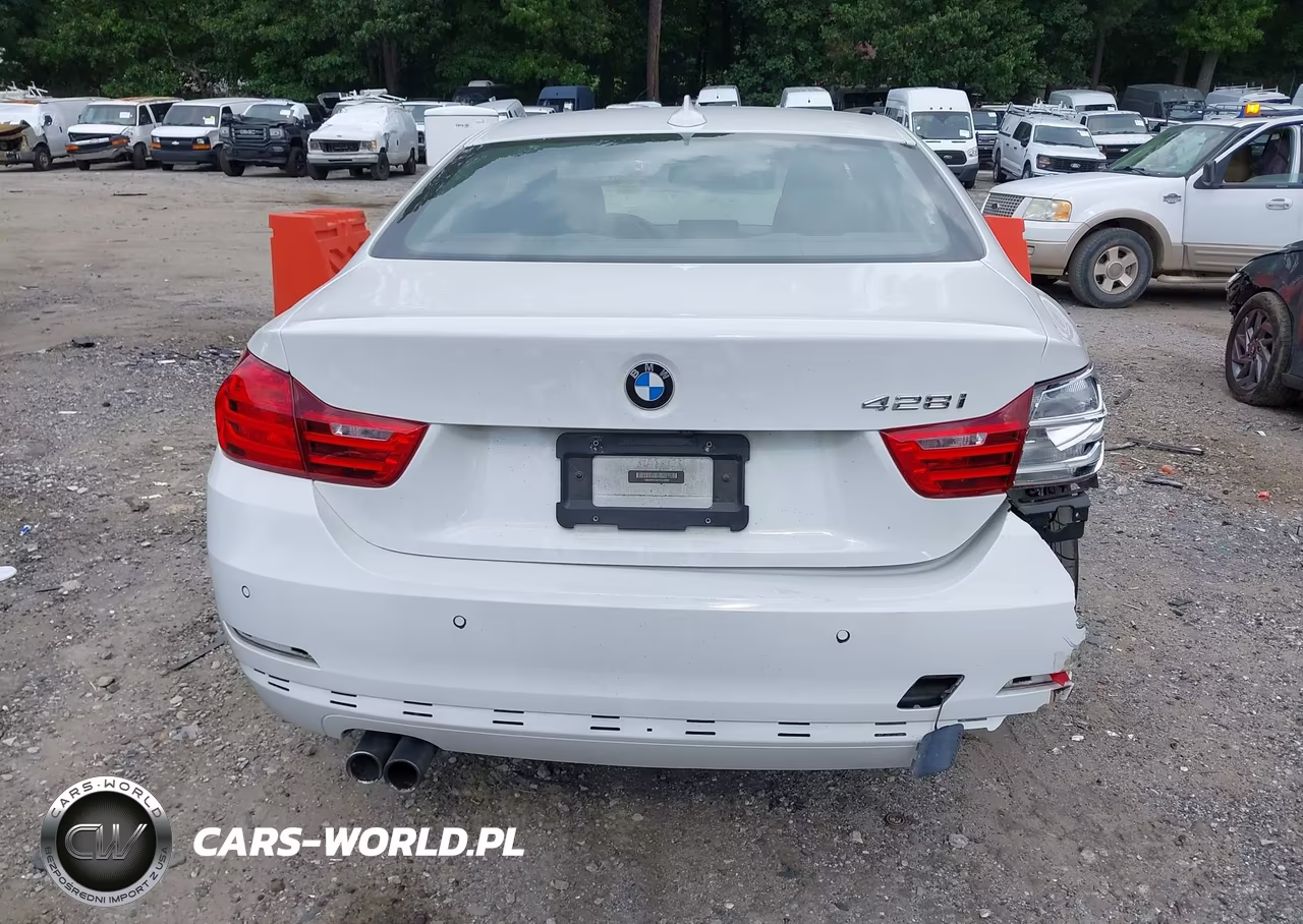 2015 BMW 428I VIN:WBA3N7C5XFK224899 - 17