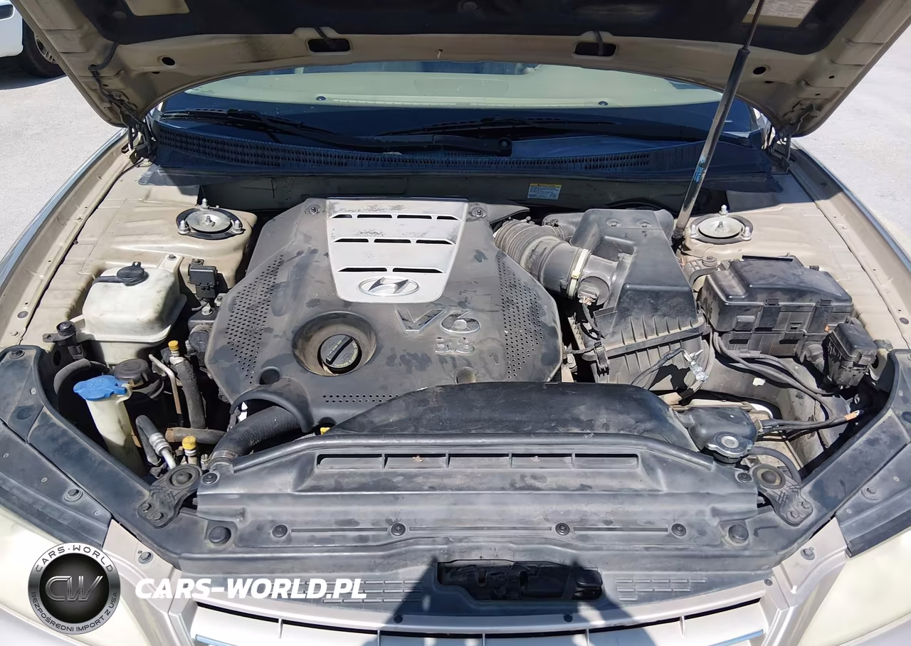 2008 Hyundai Azera Limited VIN:KMHFC46F28A297035 - 10