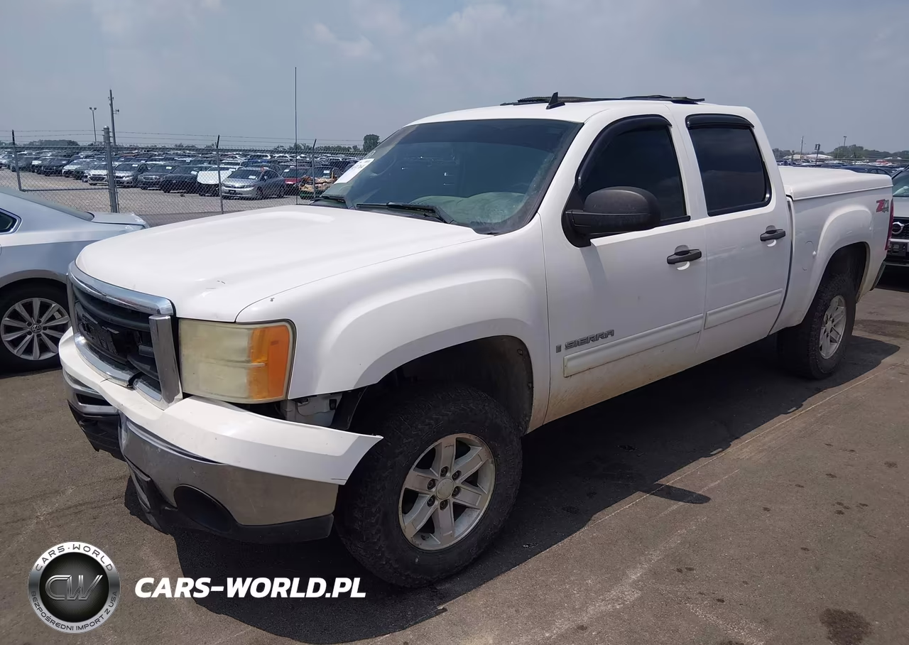 2009 GMC Sierra 1500 Sle VIN:3GTEK23M49G190999 - 2