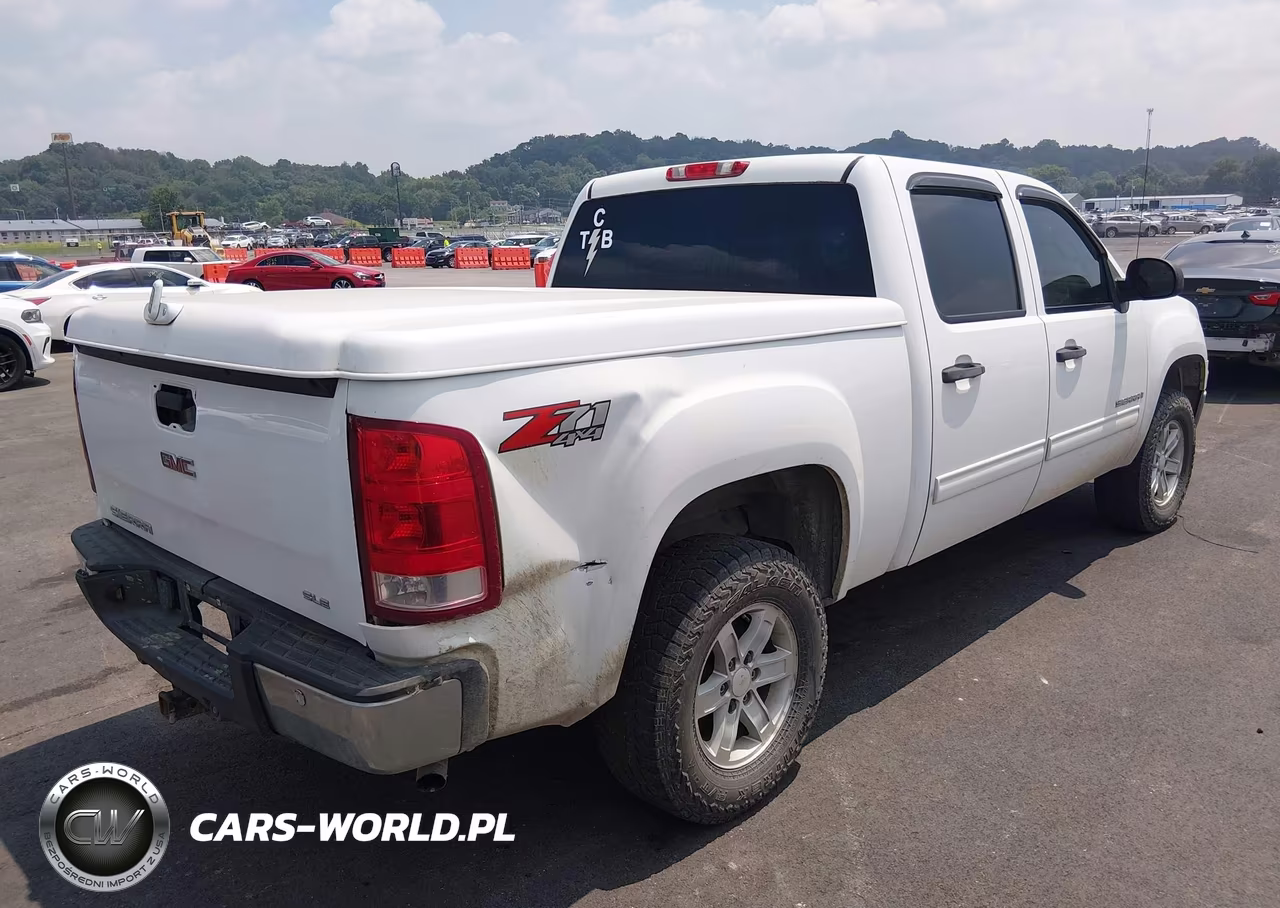 2009 GMC Sierra 1500 Sle VIN:3GTEK23M49G190999 - 4