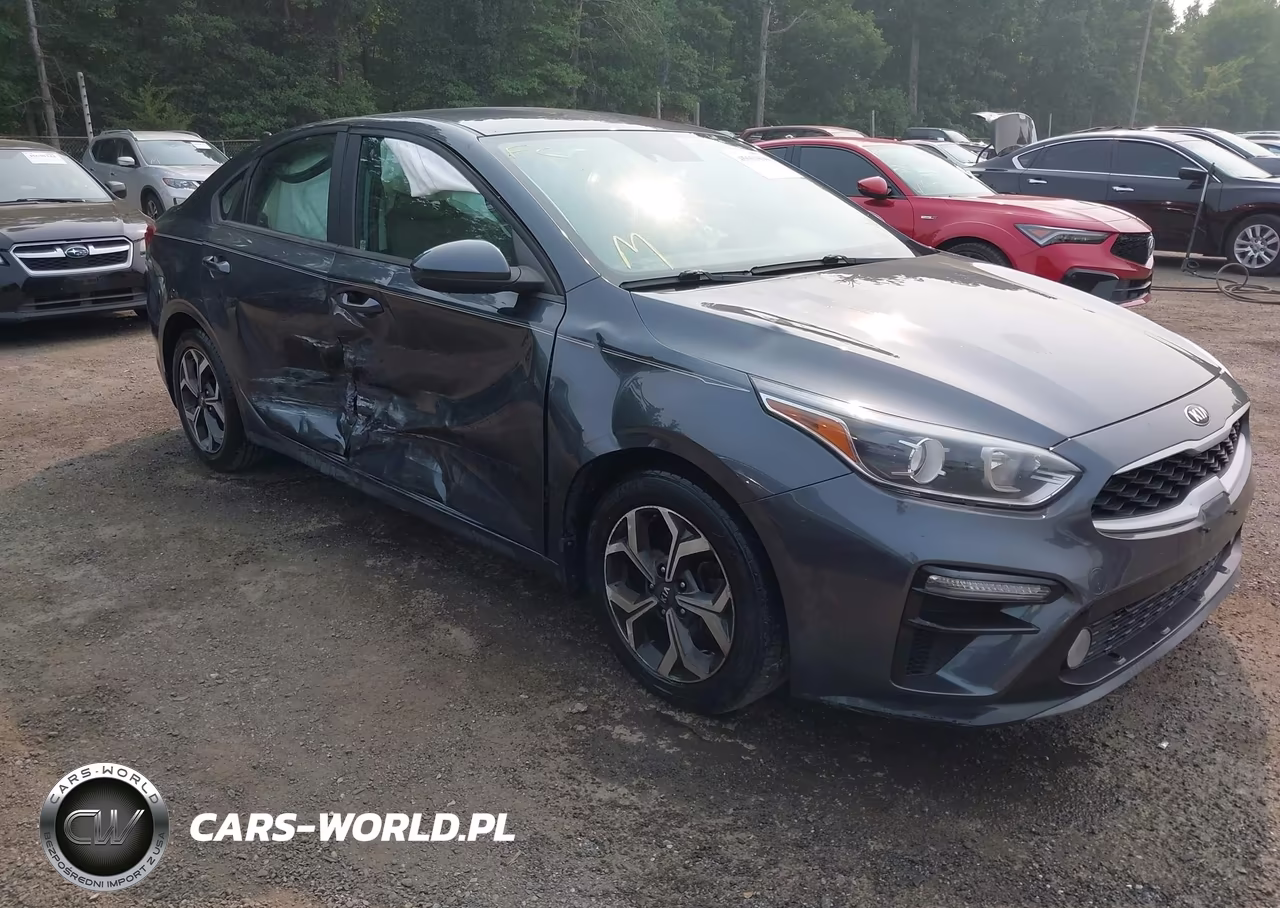 2019 Kia Forte Lxs