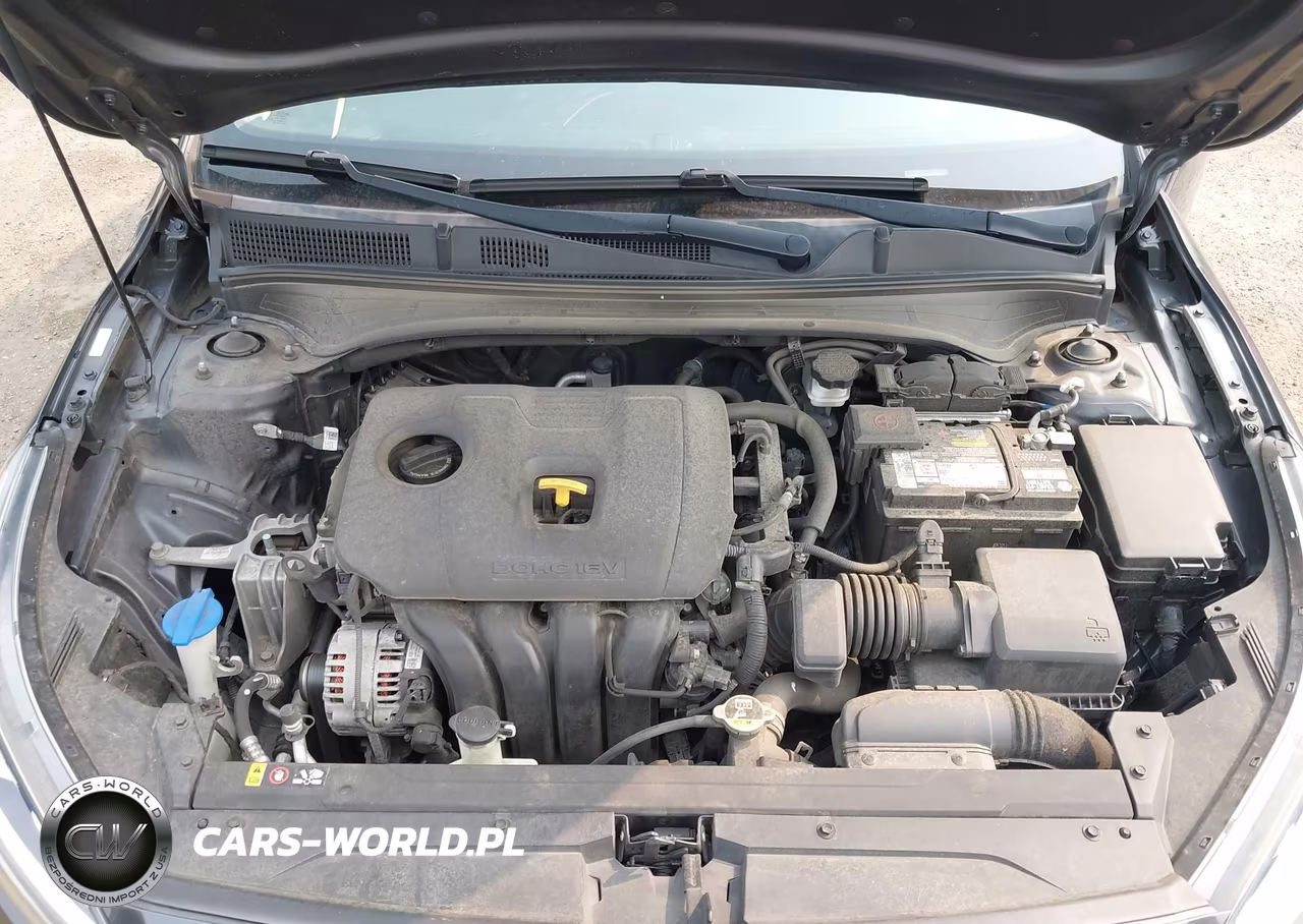 2019 Kia Forte Lxs VIN:3KPF24AD5KE067569 - 10