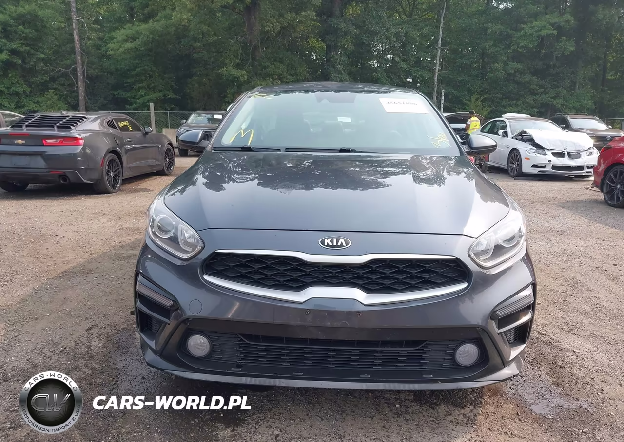 2019 Kia Forte Lxs VIN:3KPF24AD5KE067569 - 12