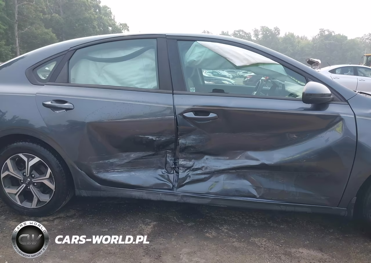 2019 Kia Forte Lxs VIN:3KPF24AD5KE067569 - 6