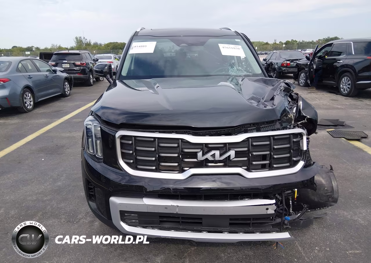 2025 Kia Telluride Sx VIN:5XYP54GC9SG629924 - 12