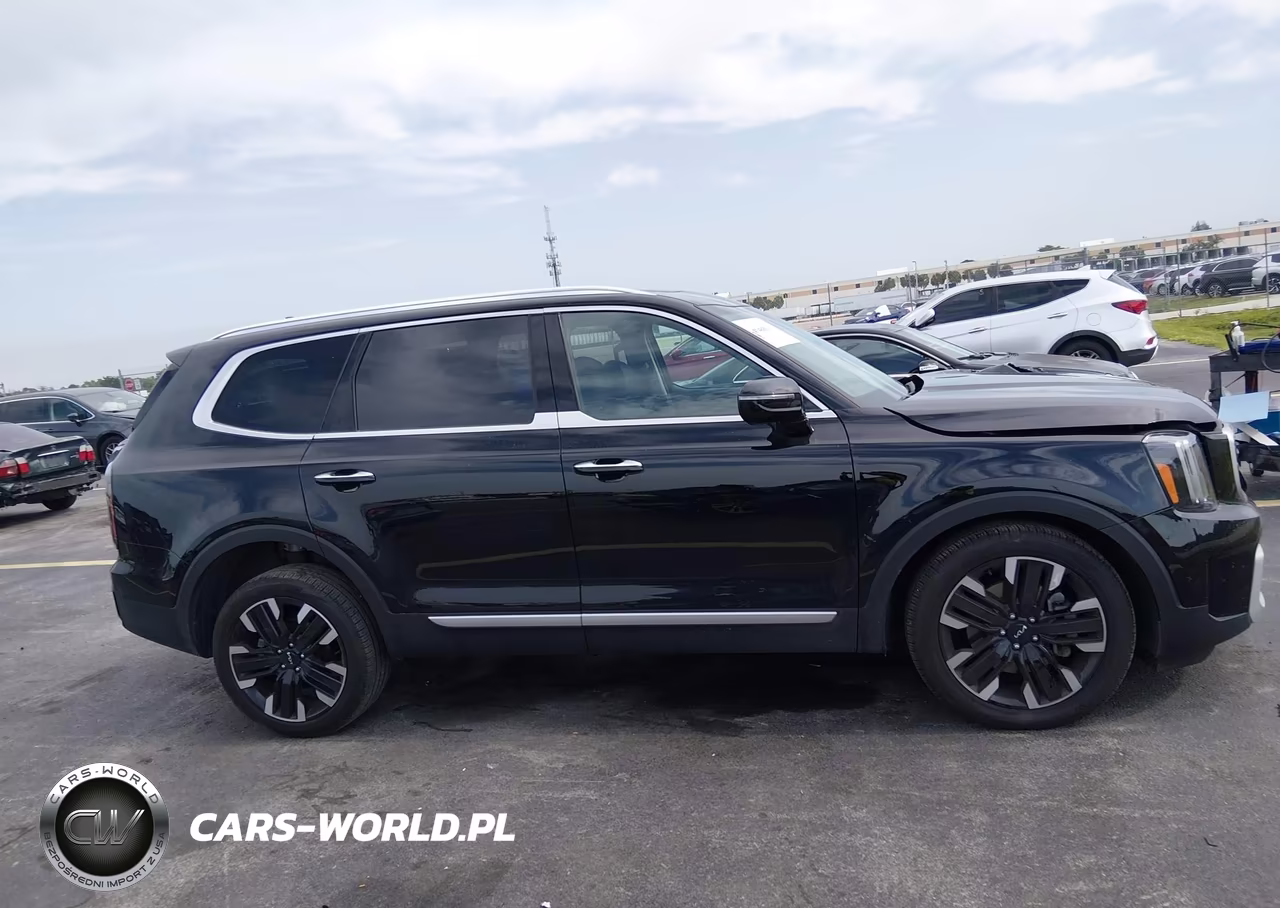 2025 Kia Telluride Sx VIN:5XYP54GC9SG629924 - 13