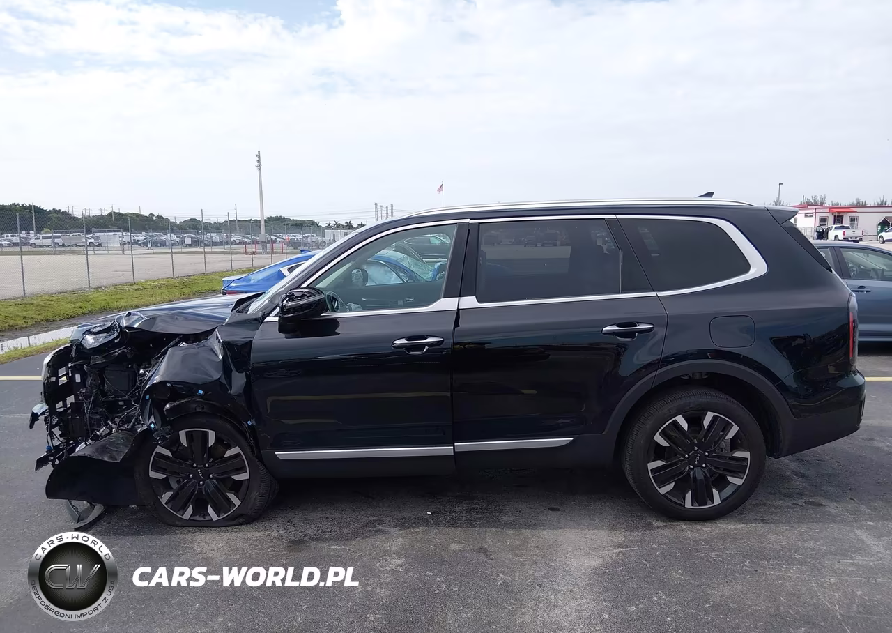 2025 Kia Telluride Sx VIN:5XYP54GC9SG629924 - 14