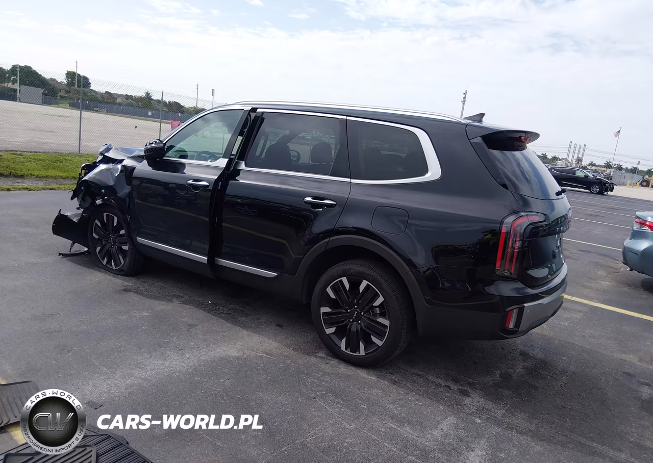 2025 Kia Telluride Sx VIN:5XYP54GC9SG629924 - 3