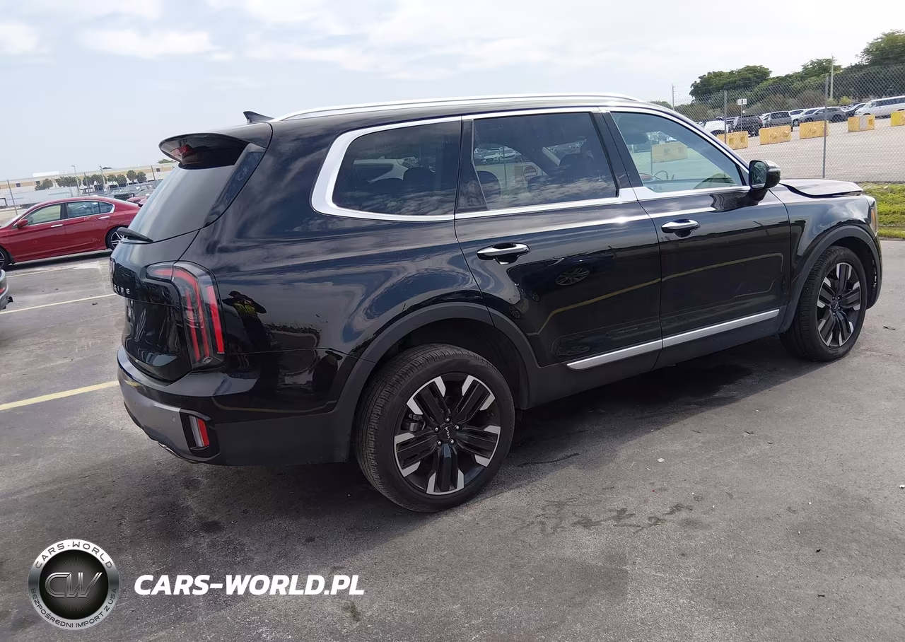 2025 Kia Telluride Sx VIN:5XYP54GC9SG629924 - 4