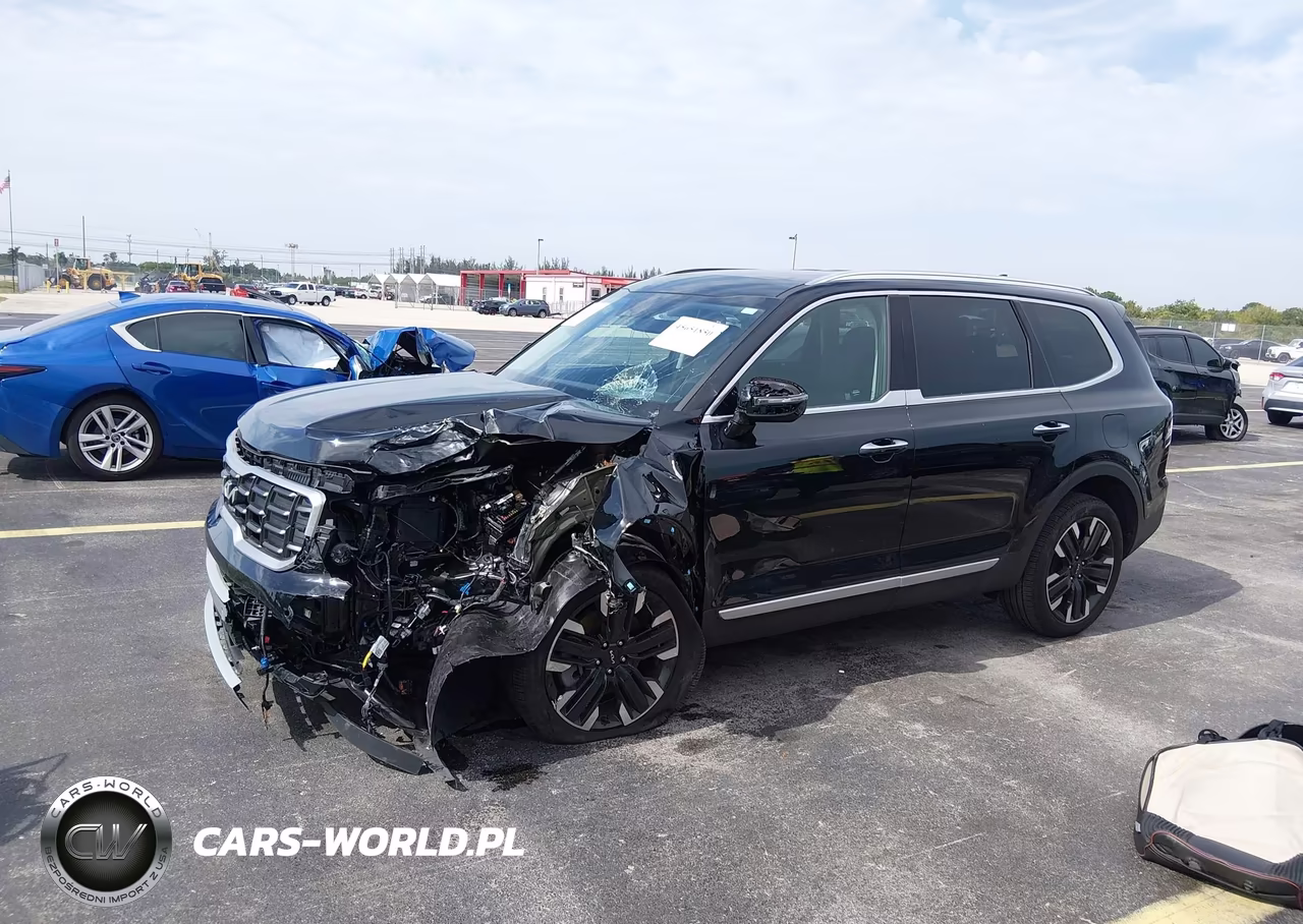 2025 Kia Telluride Sx VIN:5XYP54GC9SG629924 - 6