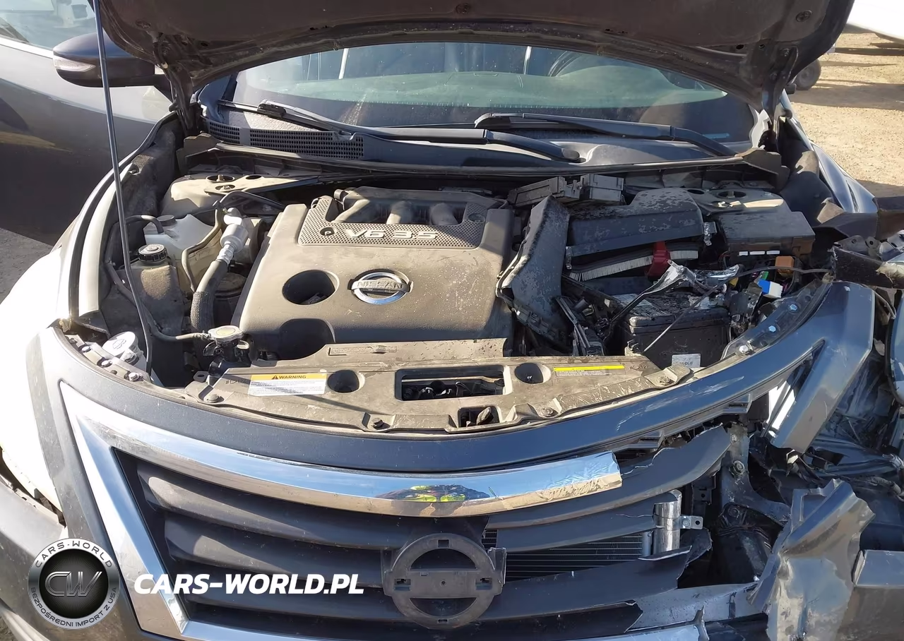2013 Nissan Altima 3.5 Sl VIN:1N4BL3AP8DN520166 - 10