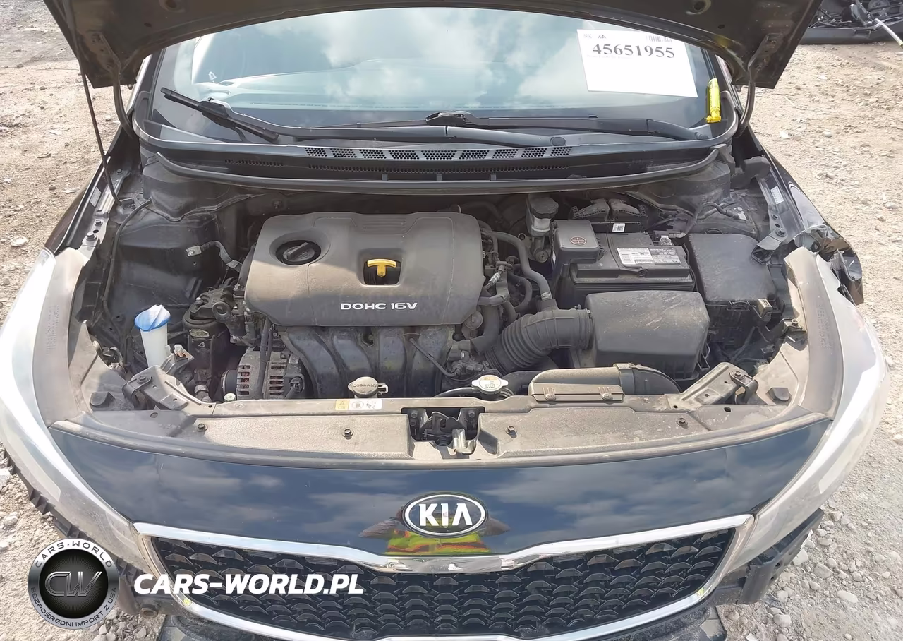 2017 Kia Forte Lx VIN:3KPFK4A78HE052535 - 10