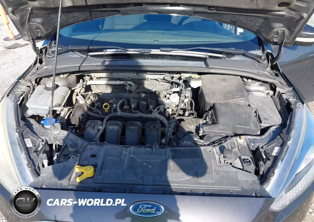 2017 Ford Focus Se VIN:1FADP3K22HL303648 - 10