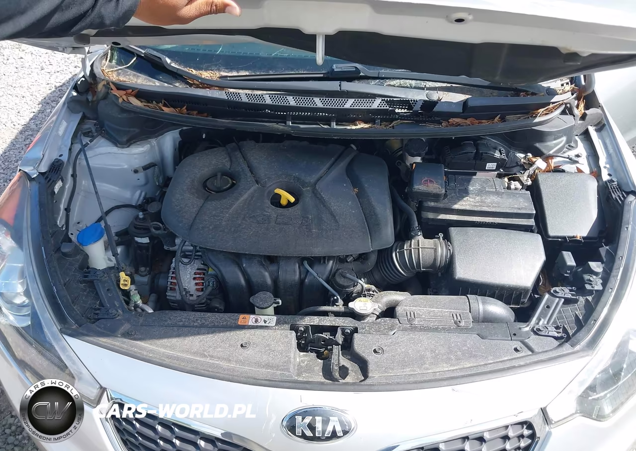 2014 Kia Forte Ex VIN:KNAFX4A82E5090289 - 10
