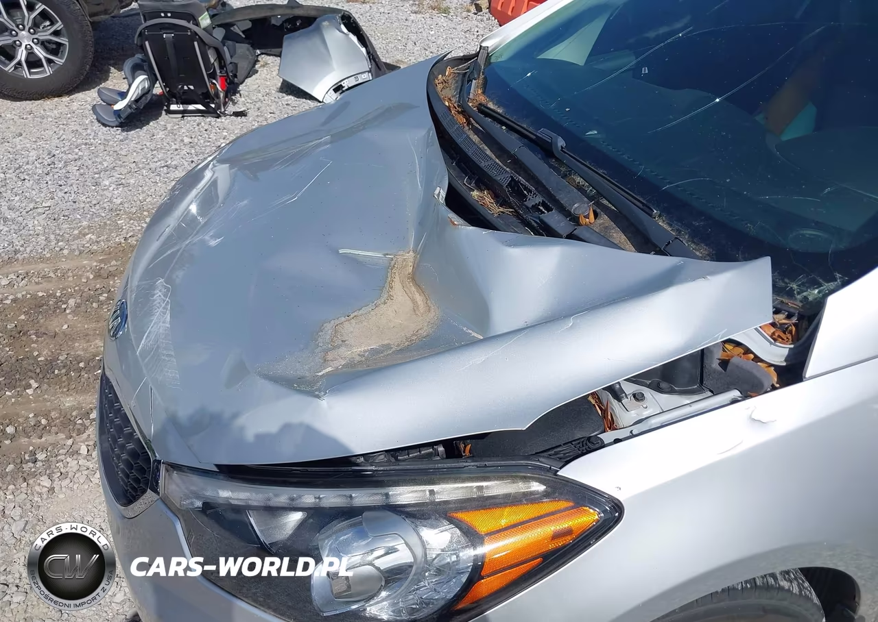 2014 Kia Forte Ex VIN:KNAFX4A82E5090289 - 13