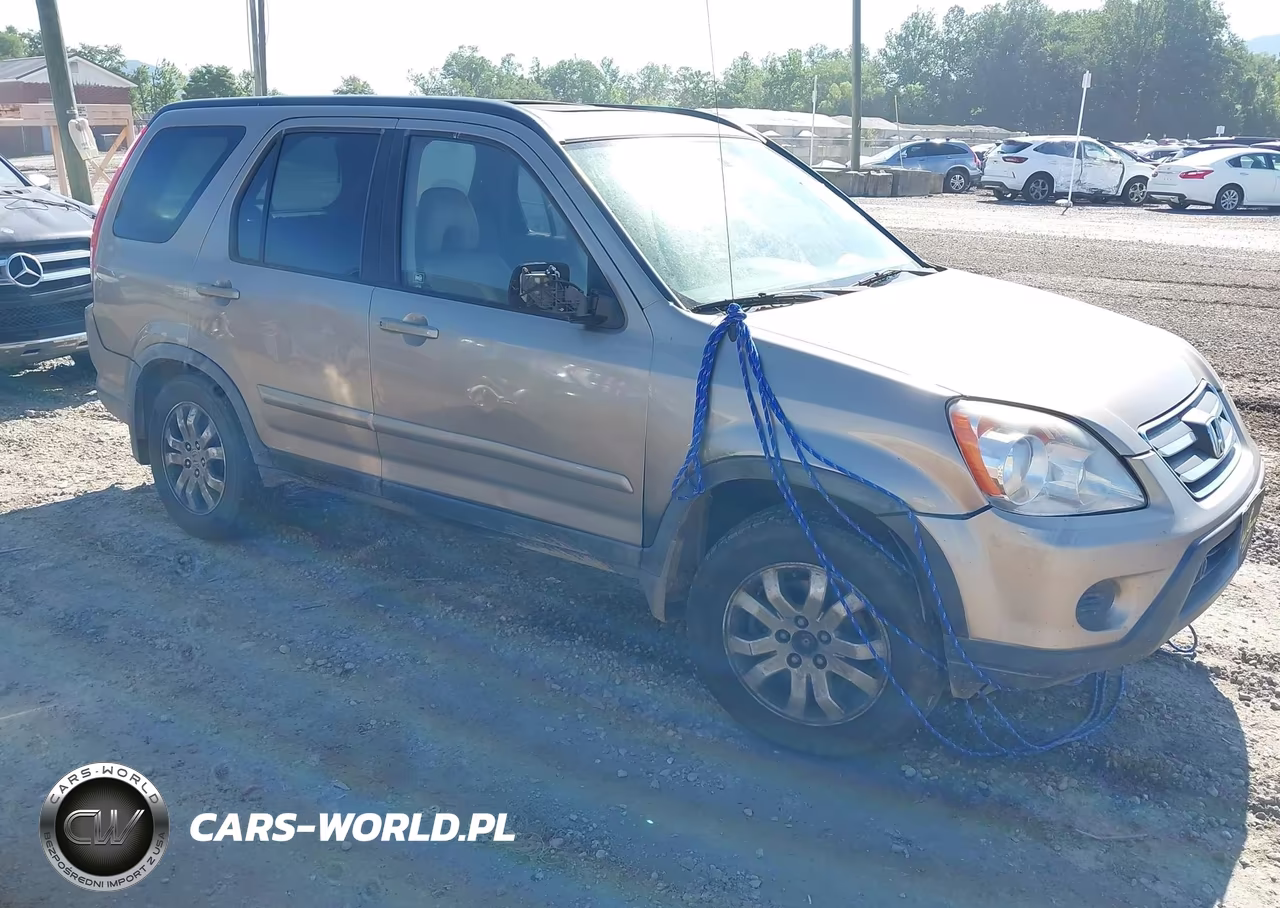 2005 Honda Cr-V Se VIN:JHLRD78965C039806 - 1
