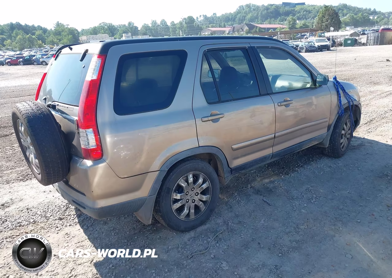 2005 Honda Cr-V Se VIN:JHLRD78965C039806 - 4