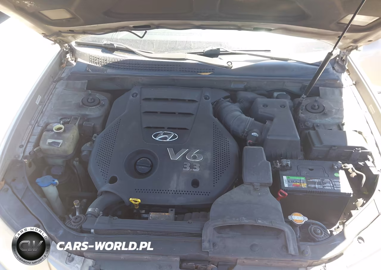 2009 Hyundai Sonata Limited V6 VIN:5NPEU46F19H450088 - 10