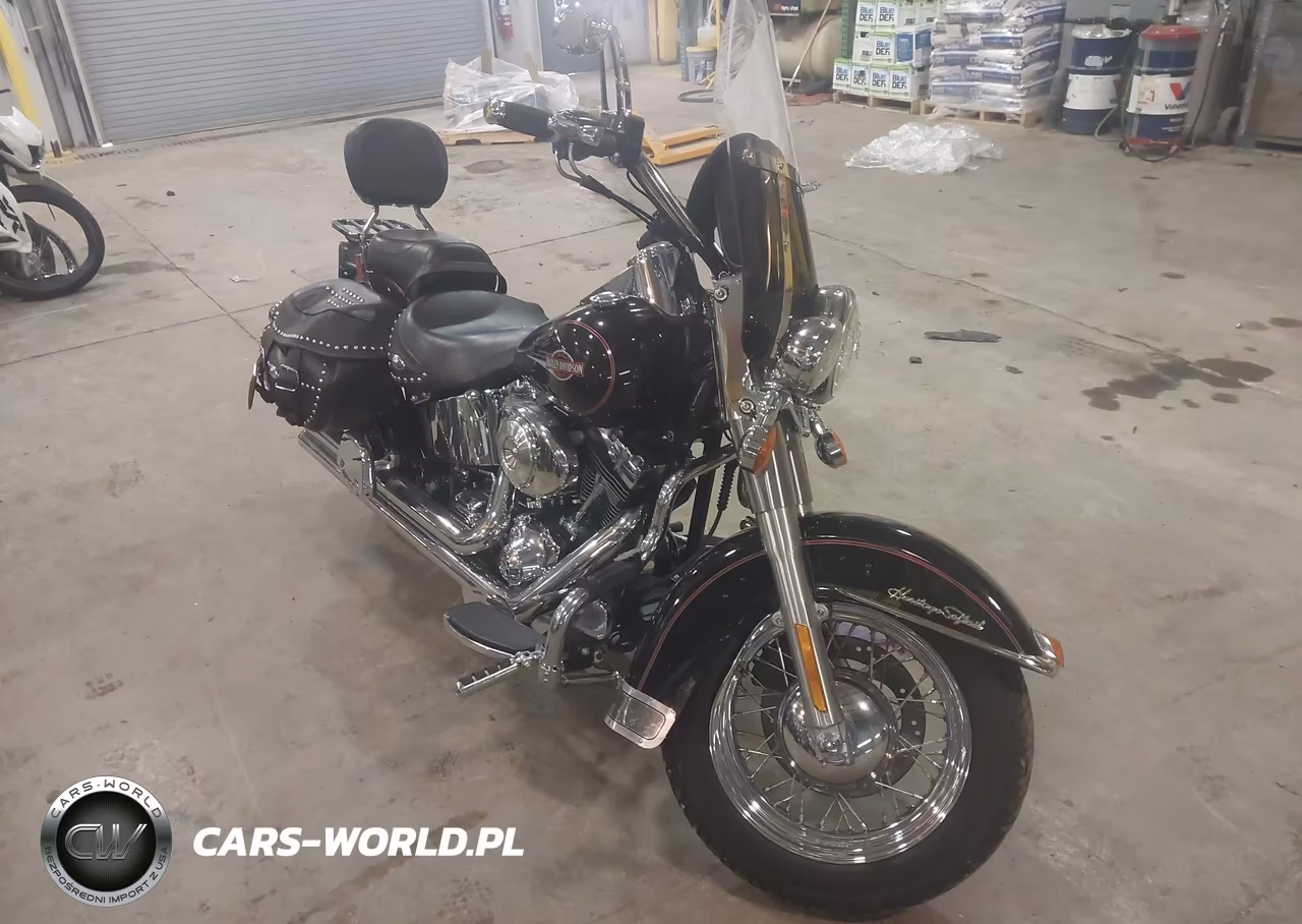 2006 Harley-Davidson Flstci