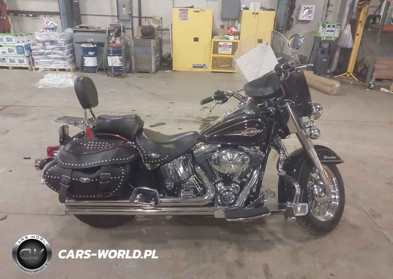 2006 Harley-Davidson Flstci VIN:1HD1BWB106Y091674 - 11