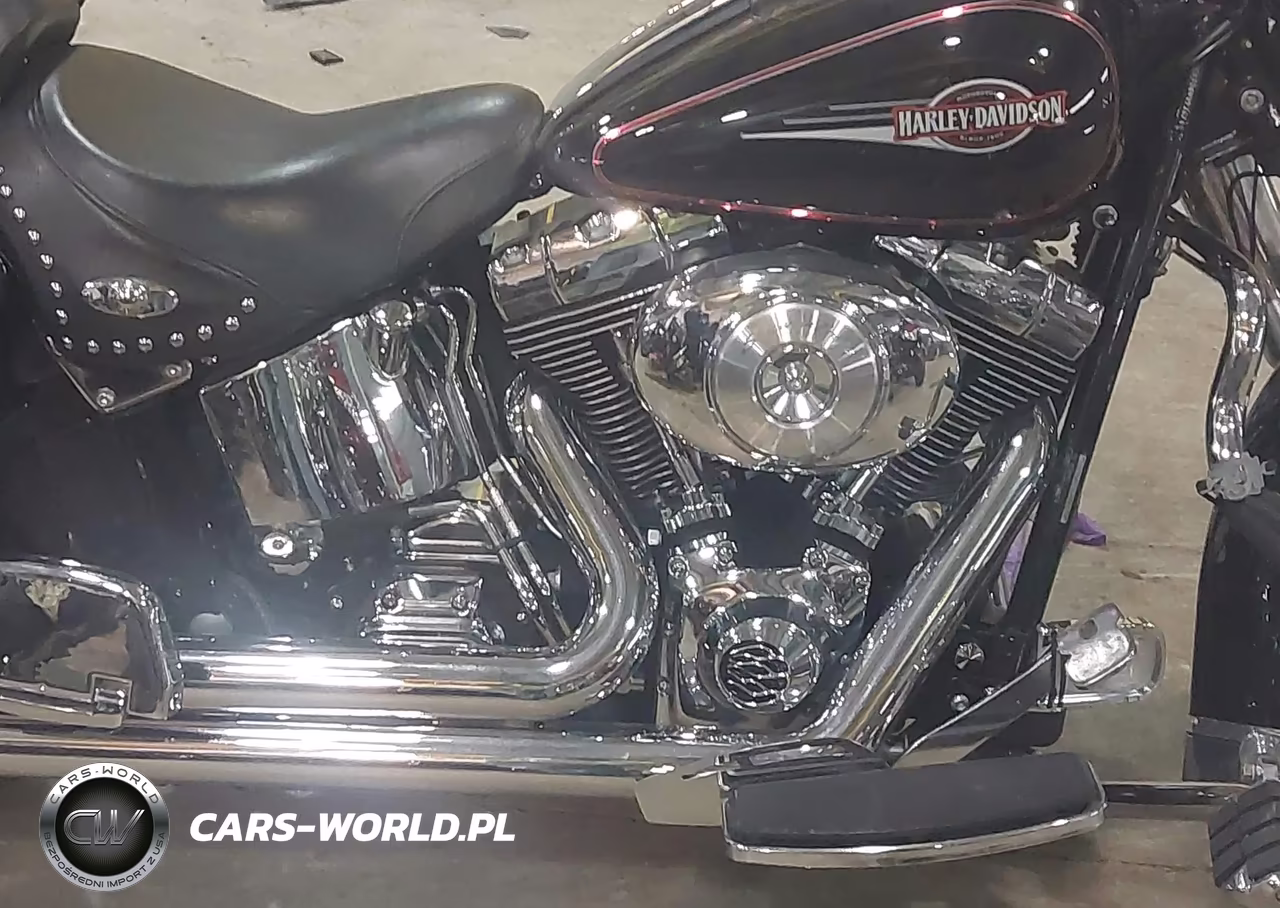 2006 Harley-Davidson Flstci VIN:1HD1BWB106Y091674 - 8