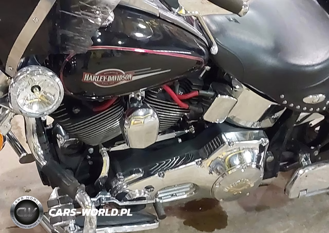 2006 Harley-Davidson Flstci VIN:1HD1BWB106Y091674 - 9