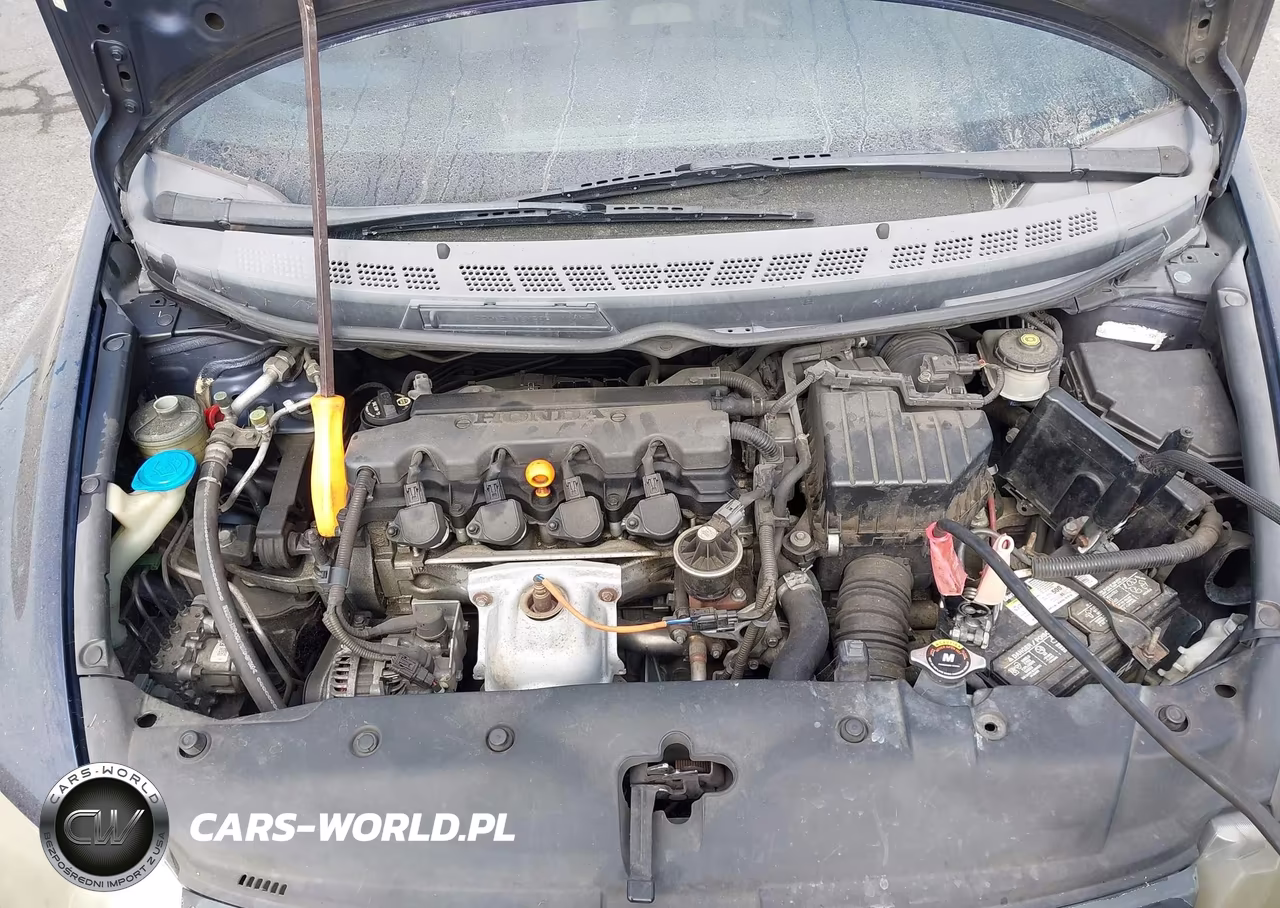 2009 Honda Civic Lx VIN:19XFA16529E004085 - 10