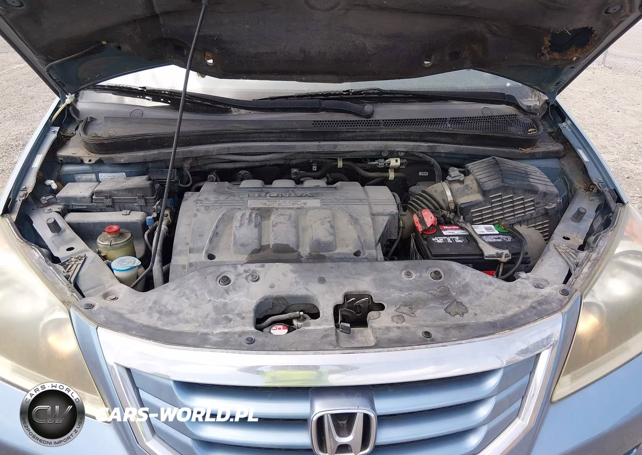 2009 Honda Odyssey Ex-L VIN:5FNRL38739B009579 - 10