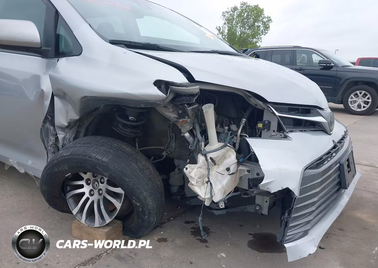2018 Toyota Sienna Xle 8 Passenger VIN:5TDYZ3DC5JS939819 - 19
