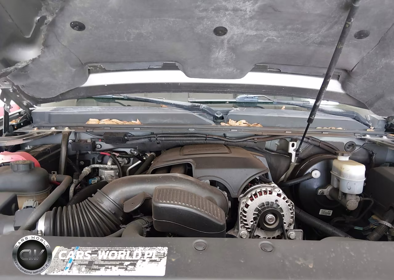 2009 Chevrolet Tahoe Ls VIN:1GNFK13029R242973 - 10
