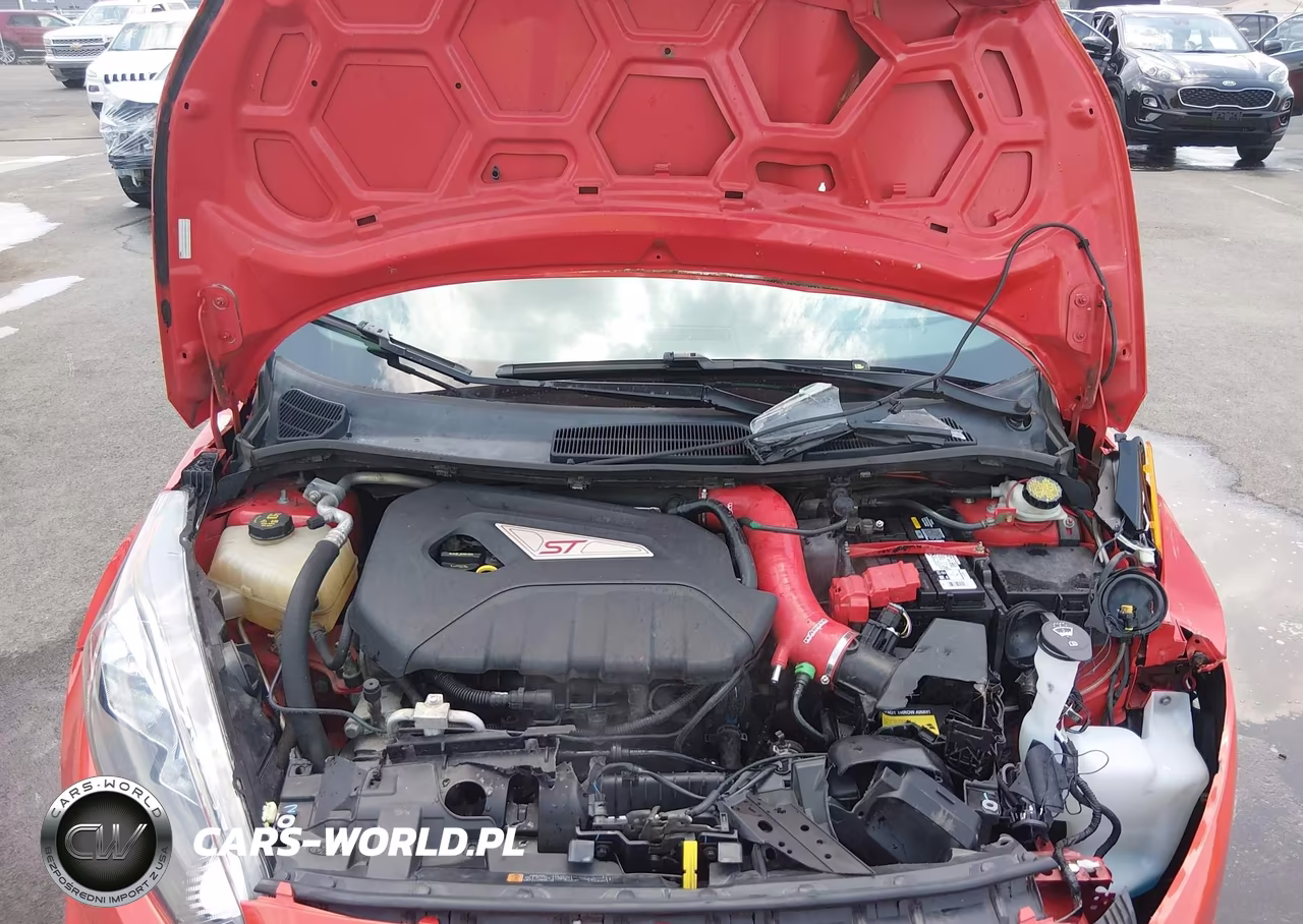 2015 Ford Fiesta St VIN:3FADP4GX2FM224258 - 10