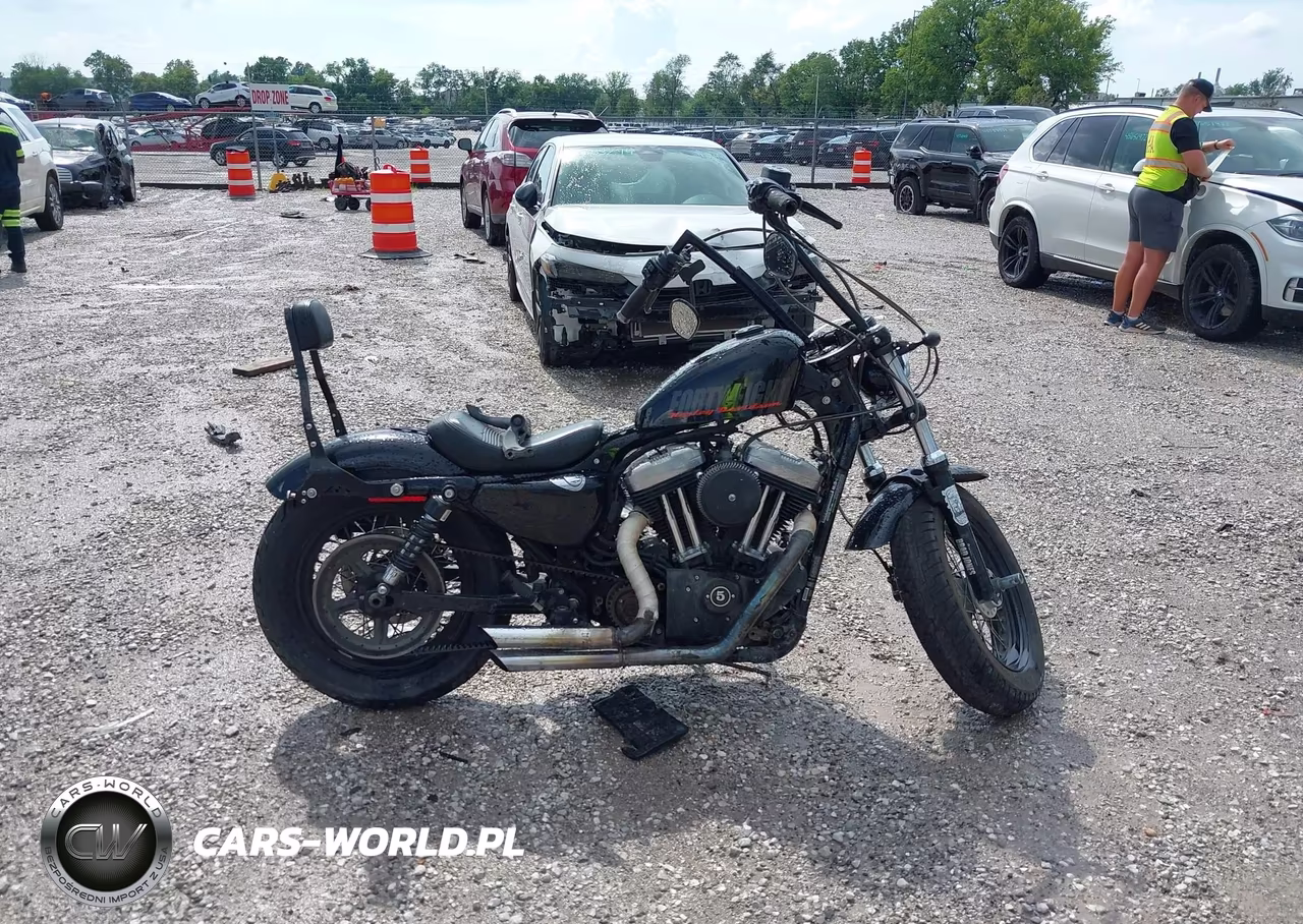 2014 Harley-Davidson Xl1200 Forty-Eight VIN:1HD1LC311EC437270 - 13