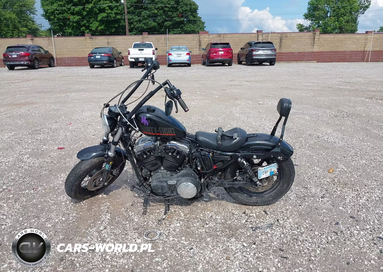 2014 Harley-Davidson Xl1200 Forty-Eight VIN:1HD1LC311EC437270 - 14