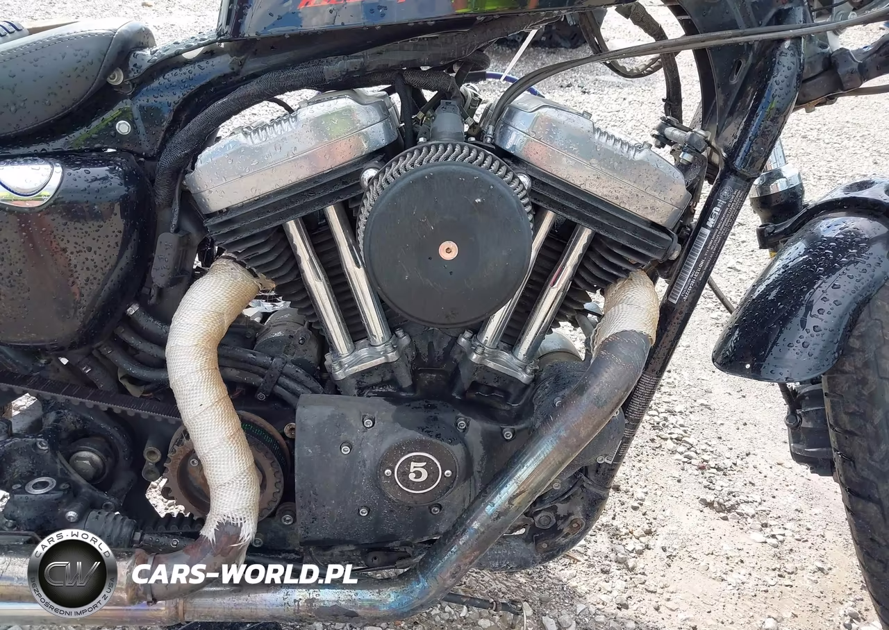 2014 Harley-Davidson Xl1200 Forty-Eight VIN:1HD1LC311EC437270 - 8