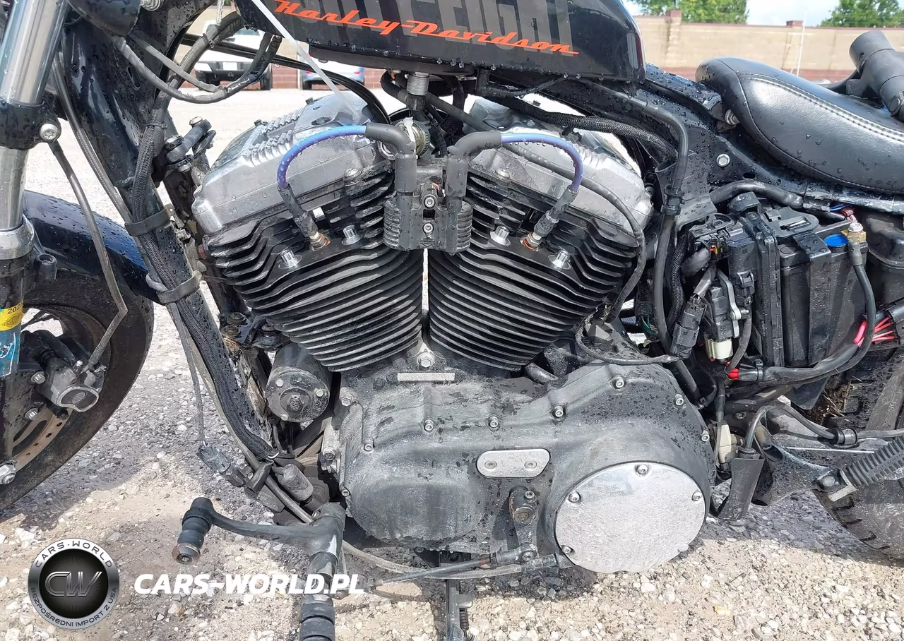 2014 Harley-Davidson Xl1200 Forty-Eight VIN:1HD1LC311EC437270 - 9